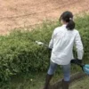 Makita Stånghäcksax EN401MP